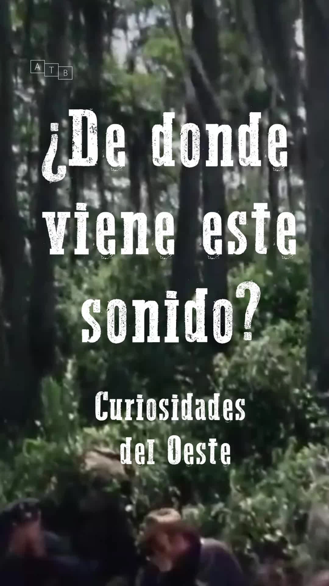 TikTok 4-2